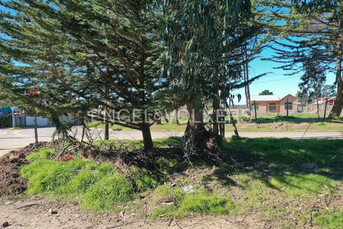 Terreno Urbano En Pichilemu