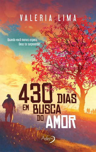 430 DIAS EM BUSCA DO AMOR, de Lima, Valeria. Editorial Ágape, capa mole em português, 2016