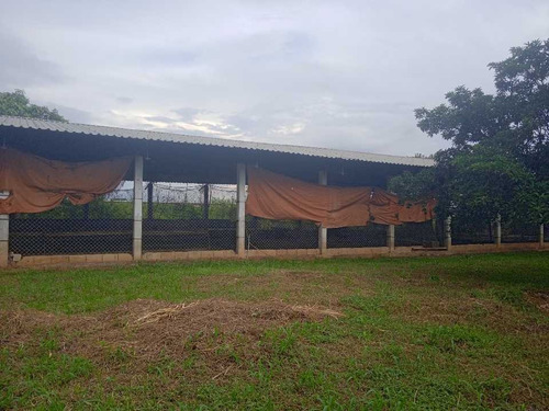 Imagen 2 de 30 de En Venta Finca Avicola Y Conejera Con Fondo De Comercio Para Embutidos