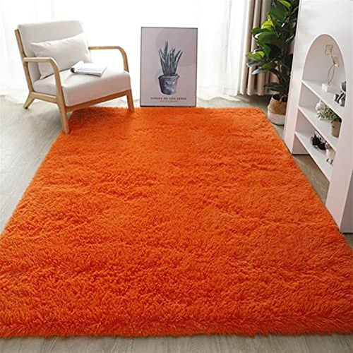 Lifup Soft Fluffy Rectangle Area Rug, Cozy Plush Shaggy Carp