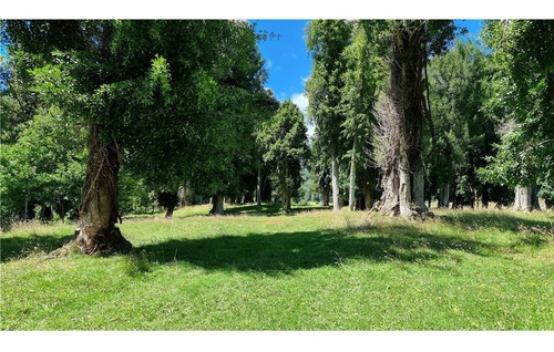 Imagen 11 de 13 de Parcelas De 5.000 M2 A Orillas Del Lago Llanquihue
