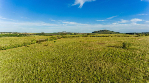 Imagen 13 de 14 de Venta De Amplio Lote En El Paraíso