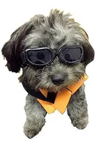 Comprar Disfrutar De Las Gafas Para Perros Gafas De Sol Para Perros