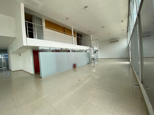 Renta Oficina 600 M2 Ph En Polanco - Horacio