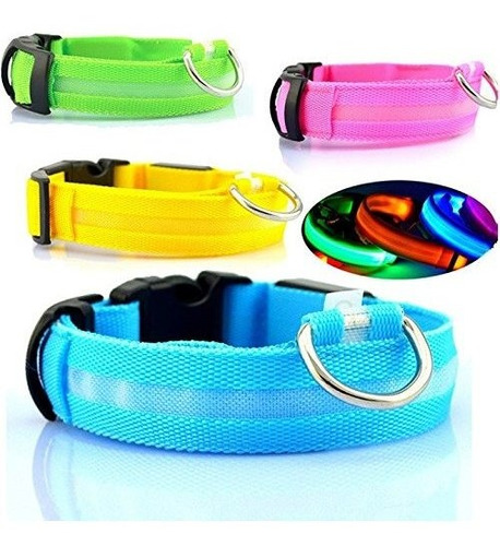 Collar De Perro Led Destella De La Seguridad Se Iluminan, Y 