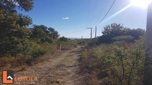 Imagen 8 de 30 de Carpintería, Lotes De 5000 M2
