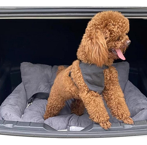 Dog Car Seat Seat Sofa Outdoor Removable Cushion Portable
