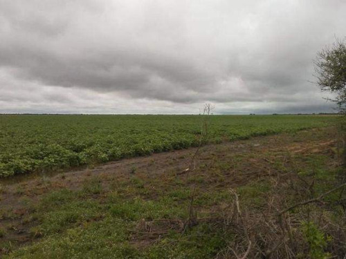 Imagen 2 de 2 de Campo Agricola Taboada Santiago 1427ha Total 800 Limpas
