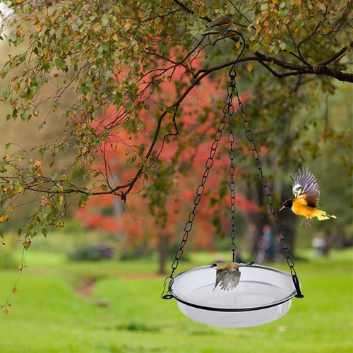 Alimentador De Pájaros Colgantes Camfesco De Aves Ideal