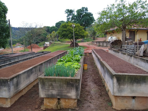 Imagem 14 de 22 de Fazenda 63 Alqueires, Rica Em Água Com 5 Lagos, 3 Casas Amplas, 3 Barracões, 1 Mangueirão, 1 Cocheira, 1 Galinheiro, 3 Casas De Funcionários, Pasto - Fa00189 - 70540162