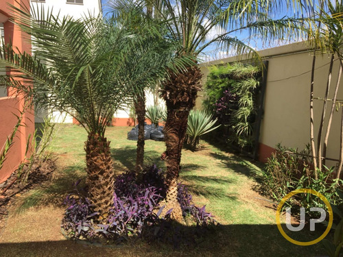 Imagem 3 de 15 de Apartamento Em Cardoso - Belo Horizonte - 8967