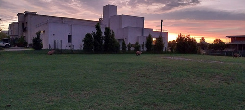 Venta Lote Al Lago En Los Alisos, Nordelta, Tigre