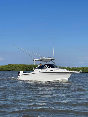 Yate Quest Modelo Saltfish 257 Walk Around