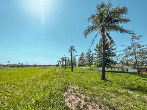 Terrenos Con Financiación En Lomas De Alicia - Baigorria