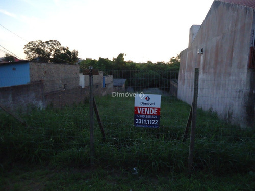 Imagem 3 de 7 de Terreno - Vila Nova - Ref: 13695 - V-13695