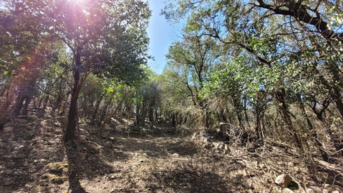 Venta De Terreno Campo En Las Sierras De Cordoba Unquillo Argentina