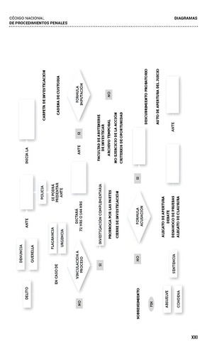 Legislación Penal Del Estado De México 2023. Código Penal, Código Nacional Procedimientos Penales, + 6 Leyes. Con Pormenores Audiencia Control, Guía Práctica Términos, Diagramas Procesales, Invalidez