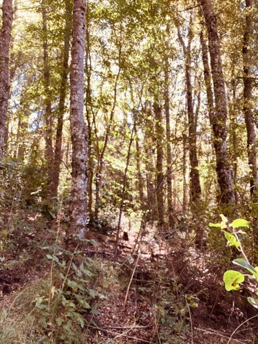 Imagen 4 de 13 de Fida Patagonia. Lote En Venta De 1293m2 Ubicado En San Martin De Los Andes
