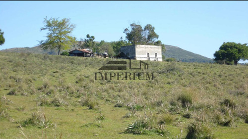 Venta, Campo 98 Hectáreas En Sierras De Carapé