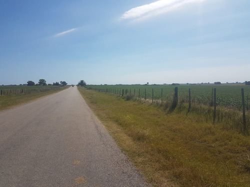 Imagen 2 de 5 de Campo En Venta En Colonia Sobre Ruta Con Costa De Arroyo