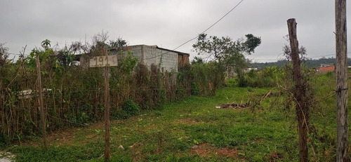 Imagem 2 de 6 de Terreno