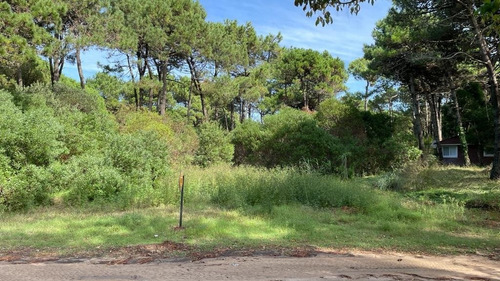 Imagen 15 de 22 de Lote Venta Zona Norte Pinamar - Lote 9