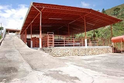 Imagen 12 de 14 de Finca En San Cristobal Chorro El Indio