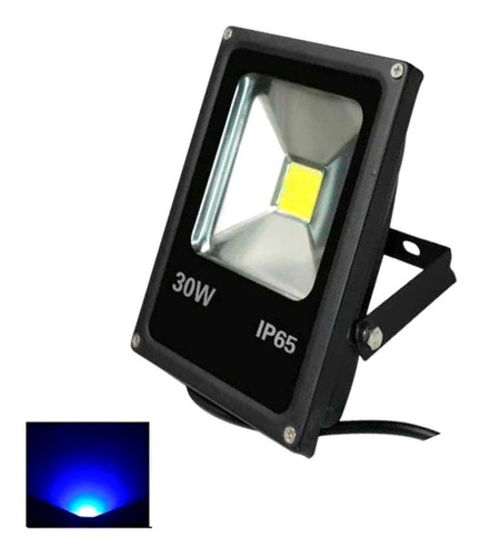 Reflector Led 30w Exterior Interior Luz Azul Ip65