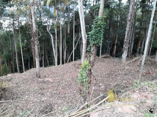 Imagem 6 de 9 de Terreno A Venda No Bairro Parque São Clemente Em Nova - 1426-1