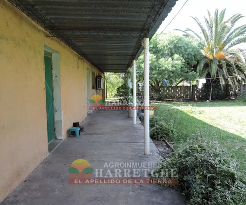 Chacra 4 Has Cno Calpino En Montevideo Rural