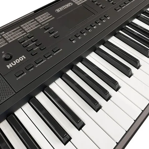 Organo Teclado Piano De 54 Teclas 5 Octavas Principiante