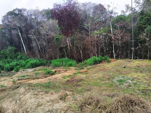 Imagen 2 de 14 de Venta De Dos Parcelas De Terreno Urb. Los Leones Llano Alto Carrizal