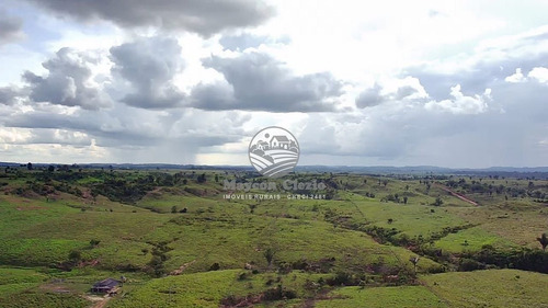 Imagem 8 de 8 de Venda Sítio Theobroma Em Rondônia - Sig347