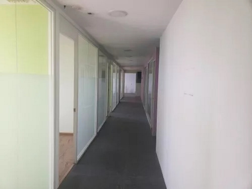 Oficinas En Renta 400 M2 Col. San Miguel Chapultepec