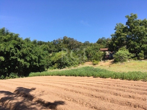 Area Em Vila Nova - Lu430623