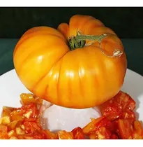 Comprar Semillas De Tomate Streak Paquete De 20 Semillas