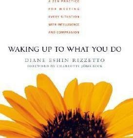Waking Up To What You Do : A Zen Practice For Meeting Every