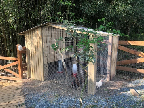 Imagem 16 de 21 de Sitio Com Casa 3 Dormitorios Em Camboriu- Estuda Permuta Em Balneário Camboriu - T211 - 69192948
