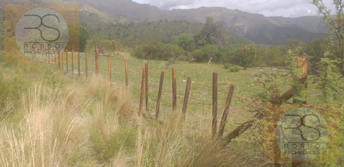 Imagen 15 de 30 de Terreno - Rincon Del Este