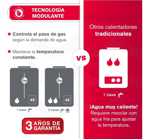Calentador De Agua 21lt Gas Propano Tiro Forzado Dig Rheem