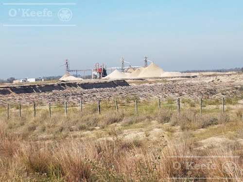 Imagen 11 de 17 de Retasado : Oportunidad Campo En Venta 100 Has En Ibicuy Forestadas