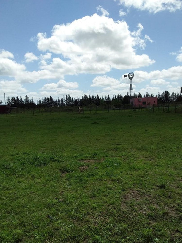 Imagen 3 de 12 de Villa Lia - 2 Lotes - 20 X 40 - C/u Cerca De La Estacion -