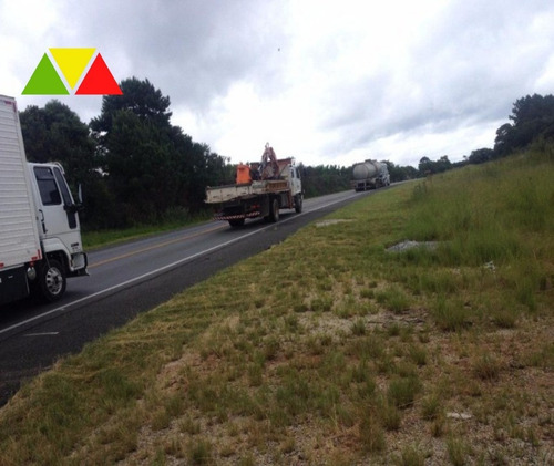 Imagem 9 de 11 de Área Industrial À Venda, Costeira, Araucária. - Ar00013 - 34982649