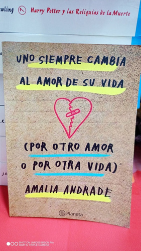 Uno Siempre Cambia El Amor De Su Vida Por Otro Amor. Andrade
