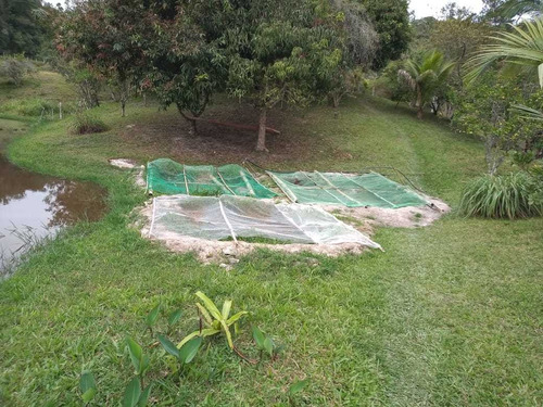 Imagem 7 de 14 de Excelente Chácara Com Lago Cod 4450