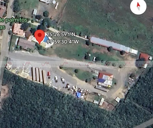 Palmitos Cadereyta