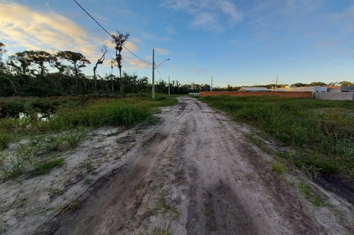 Imagem 11 de 14 de Terreno - 1547t - 69232909