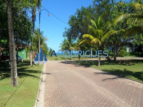 Imagem 17 de 20 de Ótimo Terreno À Venda Localizado Em Trancoso Todo Documentado E Levantamento Topográfico! - Te00126