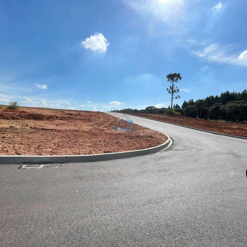 Imagem 11 de 12 de Terreno À Venda No Loteamento Vista Alegre, Bairro Costeira Em Araucária. Podendo Ser Parcelado Junto A Loteadora. - Te00150 - 70755622