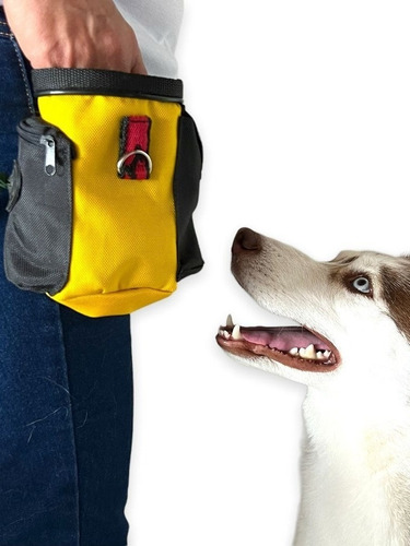 Bolsa Para Entrenamiento Perros A $42 - Kg a $46000